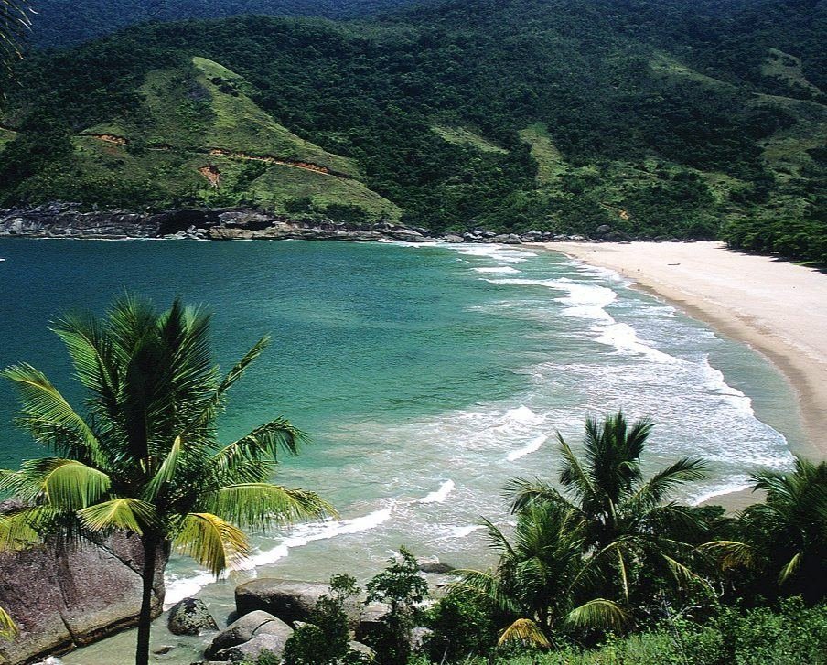 Praia do Bonete, com coqueiros na areia e mar aberto