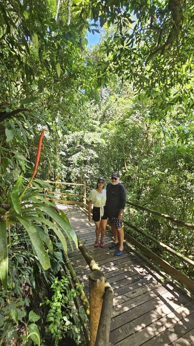 Passarela de madeira em meio à Mata Atlântica de Ilhabela